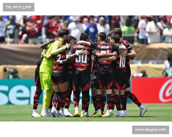 南美赛事都有什么比赛