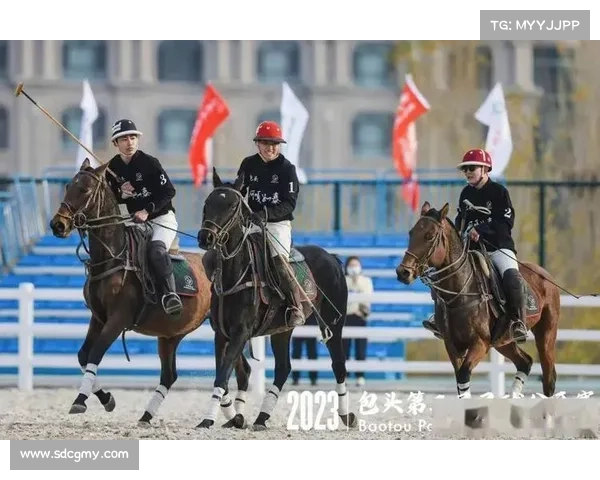 品牌赛事有哪些