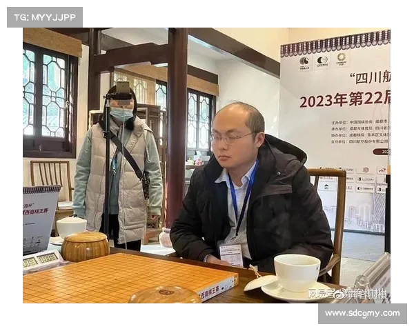 围棋西南王赛事、西南王围棋比赛